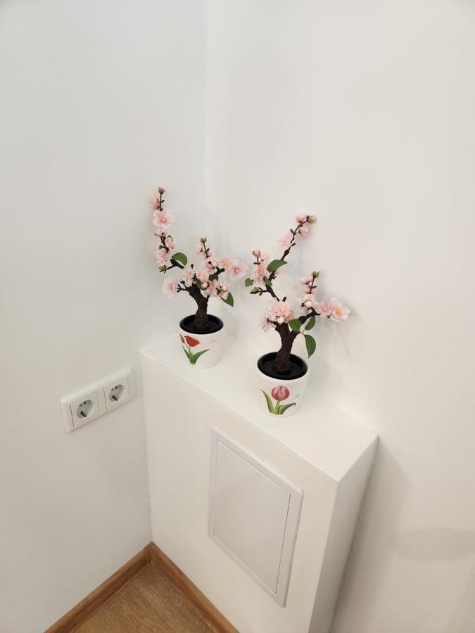 Apartman Zagreb Cca 42M2 With Free Parking المظهر الخارجي الصورة