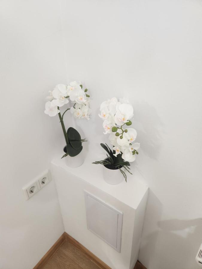 Apartman Zagreb Cca 42M2 With Free Parking المظهر الخارجي الصورة